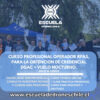 Pack Curspo Operador Rpas + Vuelo Nocturno