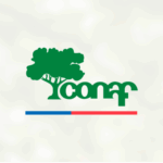 Diseno-sin-titulo-3-3